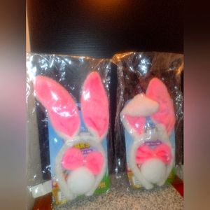 Set of 2 Lighted Bunny Ear Sets